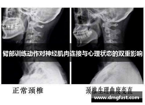 臂部训练动作对神经肌肉连接与心理状态的双重影响